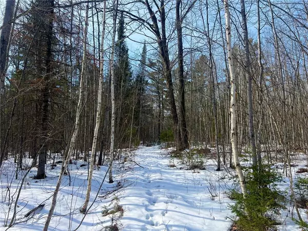 Couderay, WI 54828,0 Borrie Road