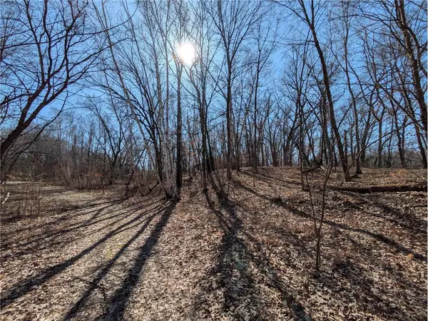 Saint Croix Falls, WI 54024,XXX Red Fox Trail