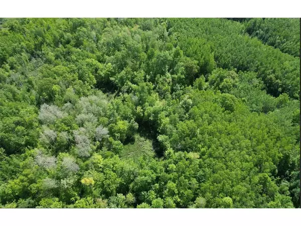 Minong, WI 54859,TBD US Hwy 77