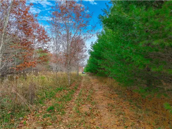 Hammond, WI 54015,xxx Lot#19 110th Avenue