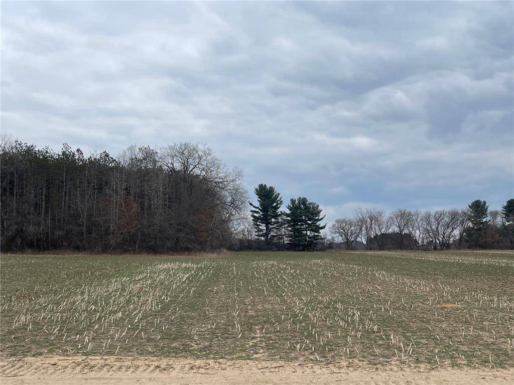 Lot 6 23rd Street, Elk Mound, WI 54739