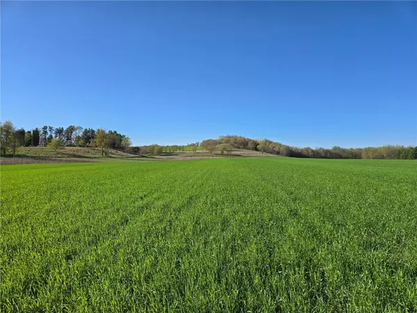 16.74 acres County Road N, Wheeler, WI 54772