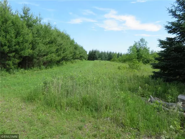 TBD County Rd E, Balsam Lake, WI 54810