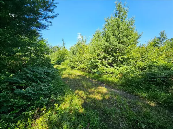 Black River Falls, WI 54615,XXX Potter Road