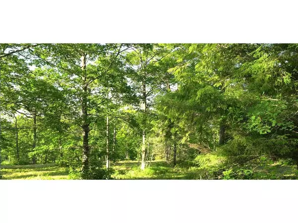Bayfield, WI 54814,83xxx - Lot 6 Ashwabay Heights Road