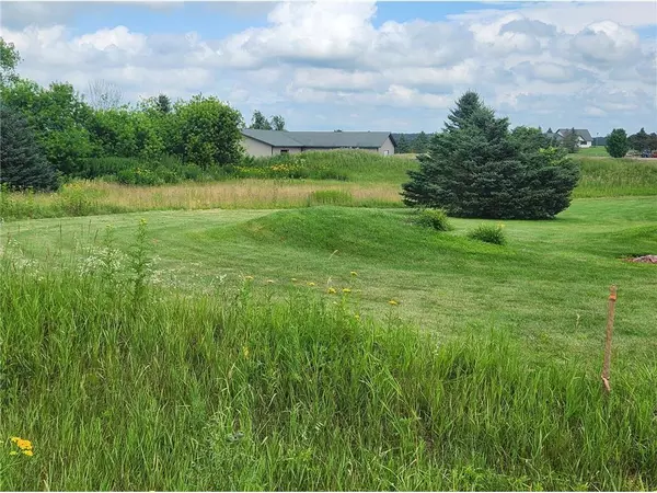 Rice Lake, WI 54868,TBD 20 1/2 Street