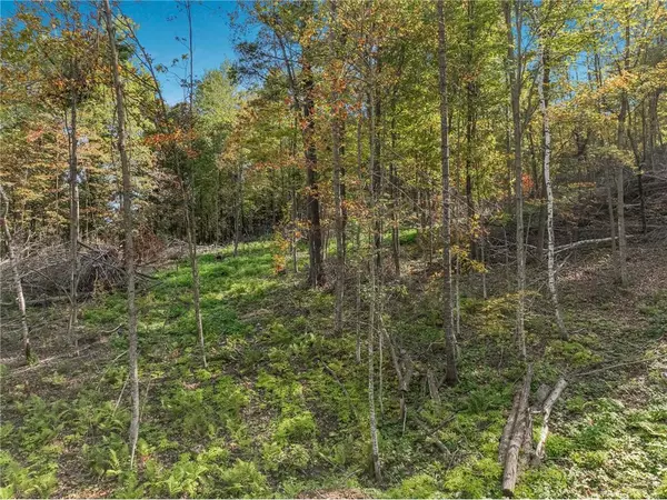 Glenwood City, WI 54734,Lot 2 1240th Avenue