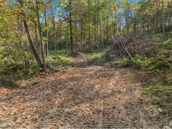 Glenwood City, WI 54734,Lot 2 1240th Avenue