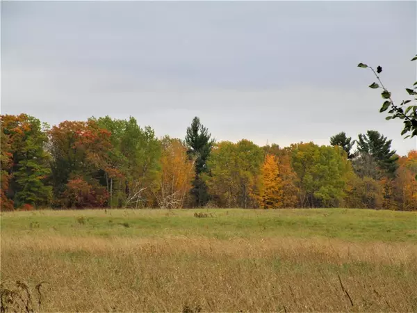 Frederic, WI 54837,Parcel 3 90th Street
