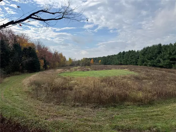 Bruce, WI 54819,110 Acres County Road O