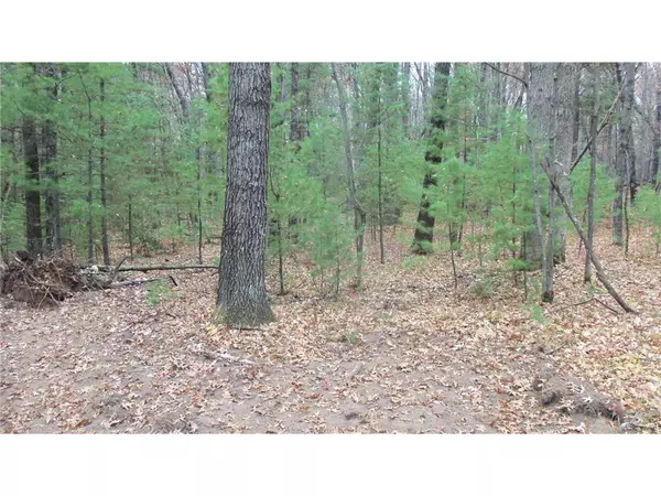 Siren, WI 54872,LOT 1 Herman Johnson Rd