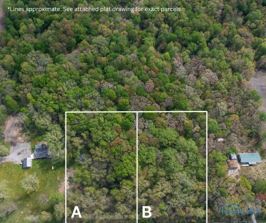 0 Manore Lot B RD, Grand Rapids, OH 43522