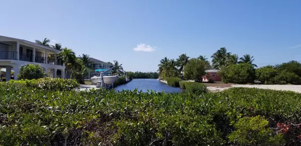 Big Pine Key, FL 33043,LOTS 2 & 3 EGRET LN