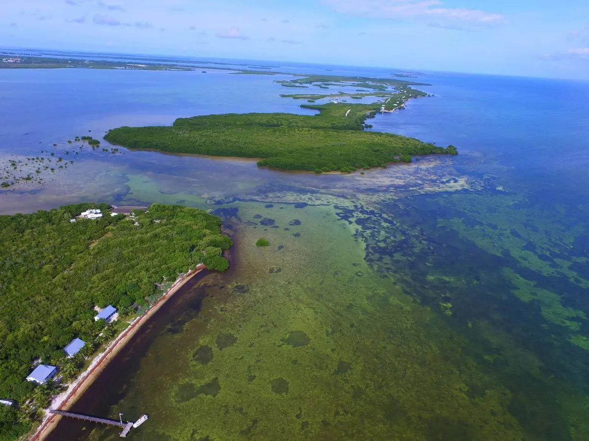 Big Pine Key, FL 33043,Lot 15 Cook Island