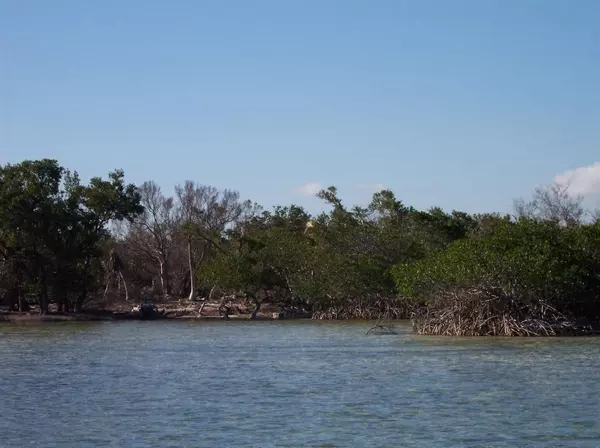 Big Pine Key, FL 33043,Lot 15 Cook Island