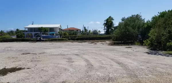 Big Pine Key, FL 33043,Lot 3 Egret LN