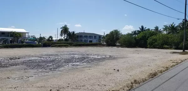 Big Pine Key, FL 33043,LOT 2 Egret LN