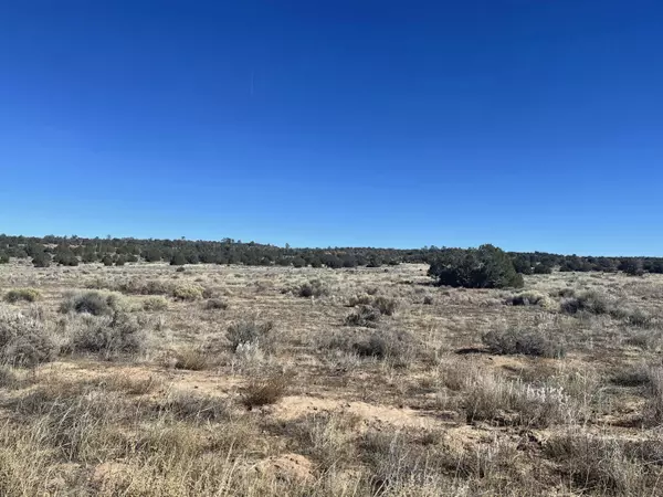 Grants, NM 87020,Cedar Grove