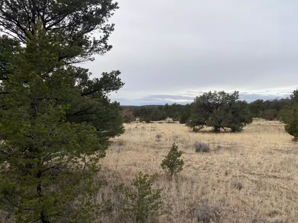 Lot 10 Pine Crest RD, Ramah, NM 87321