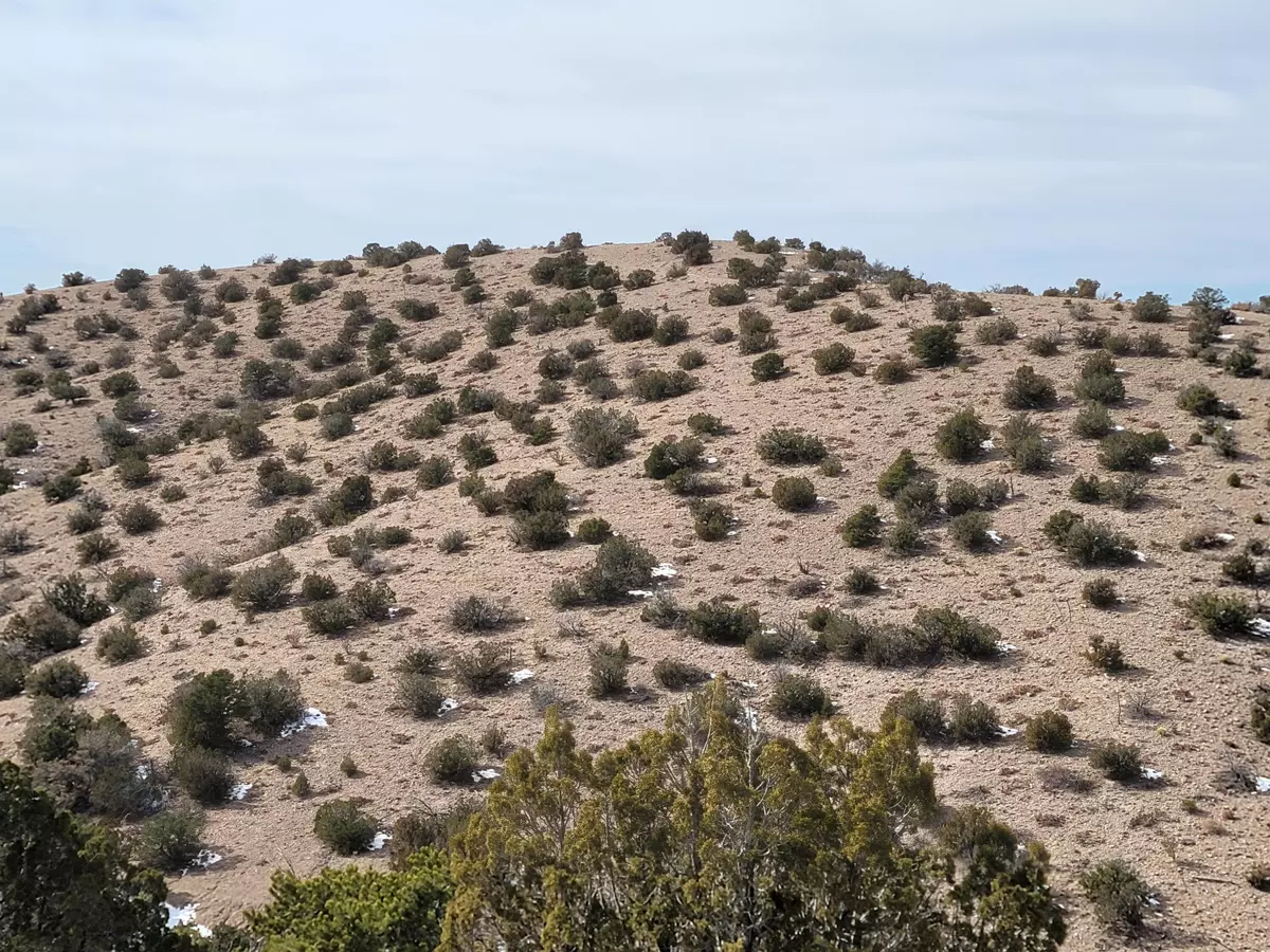 Placitas, NM 87043,00 Camino Halcon RD