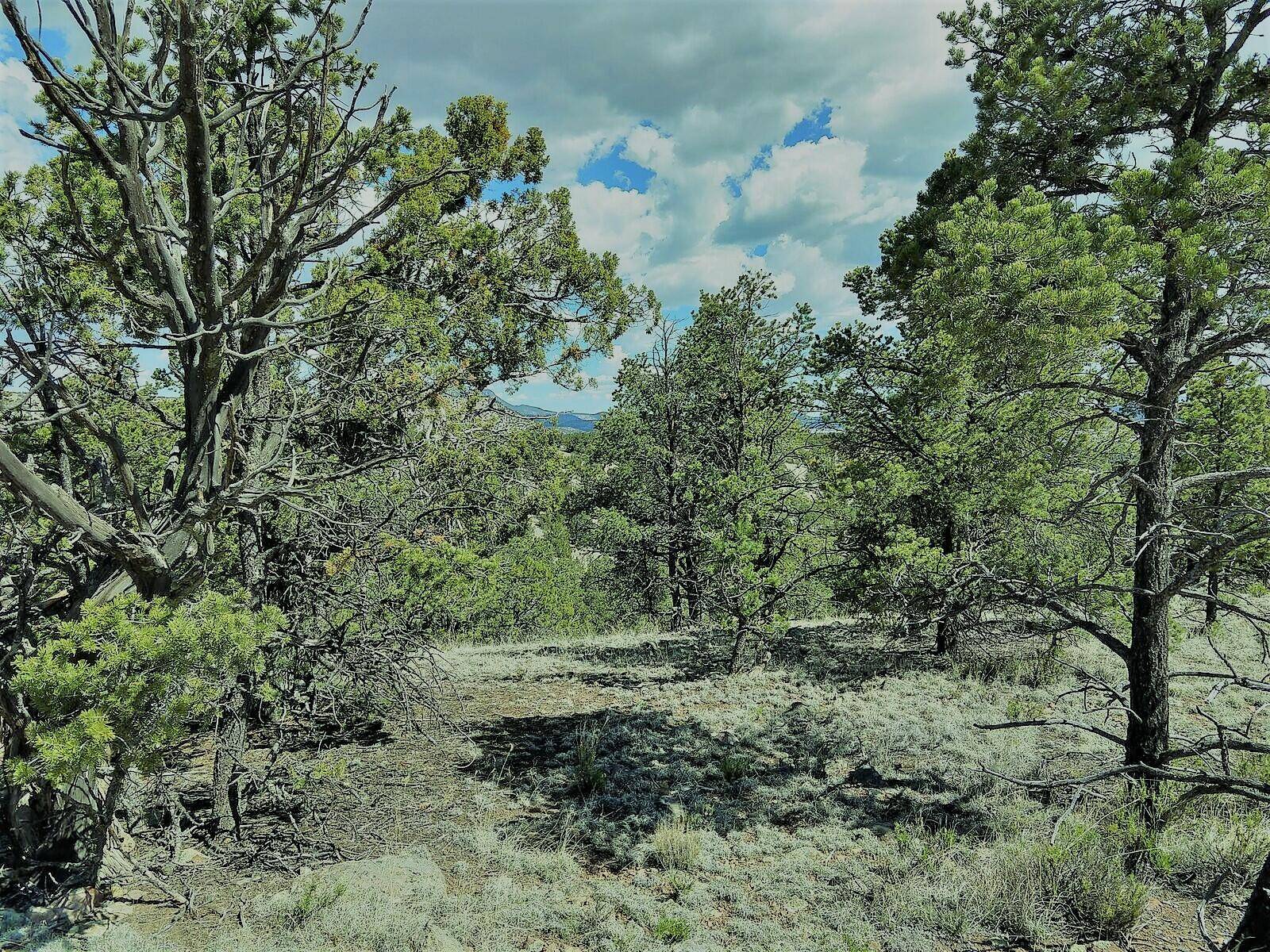 Datil, NM 87821,12 Kit RD