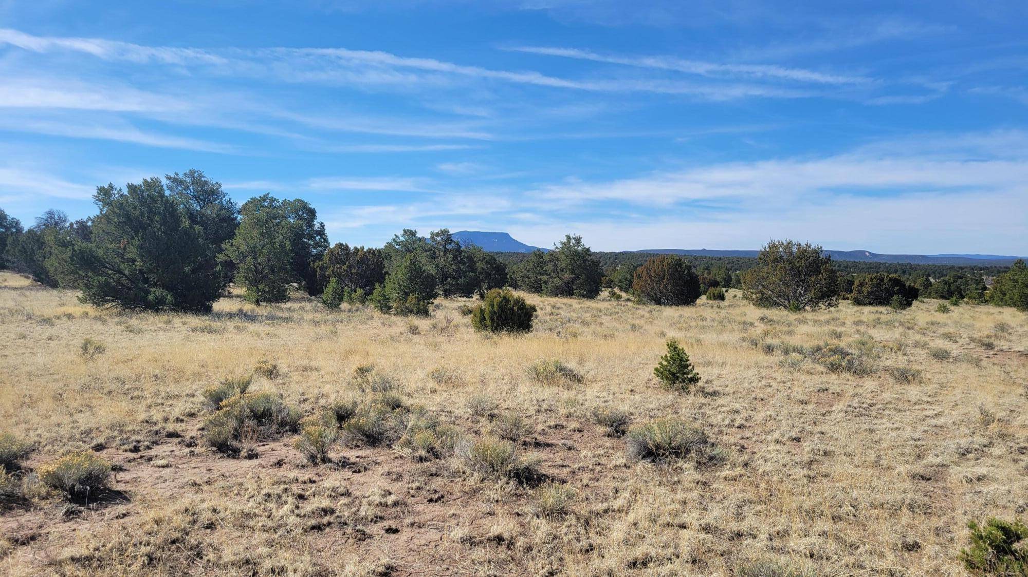 Pie Town, NM 87827,Old Stage Road