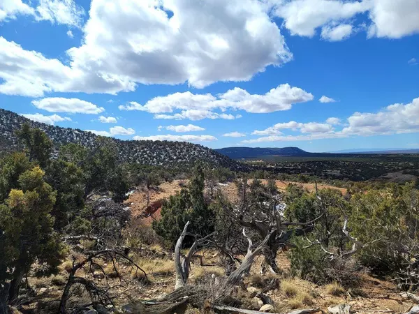 Mountainair, NM 87036,39 JUH TRL