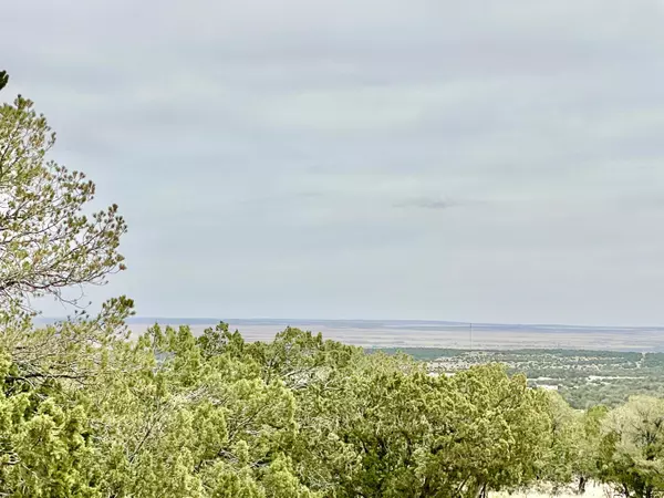 Edgewood, NM 87015,0 Orion View TRL