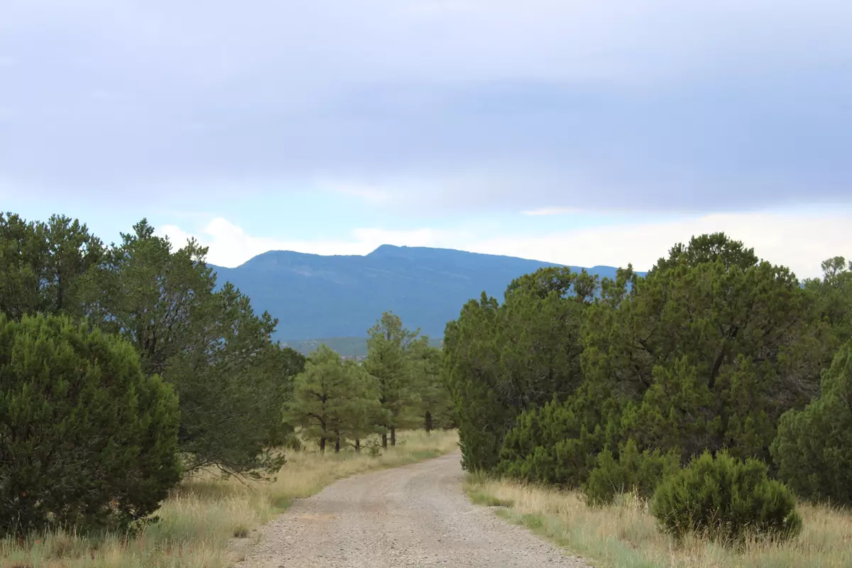Tijeras, NM 87059,120 SEDILLO RD