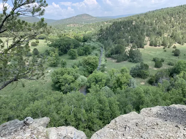 Pecos, NM 87552,CRB 44A Lower Colonias Cow Creek