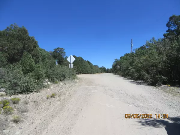 Tijeras, NM 87059,17 PHEASANT DR