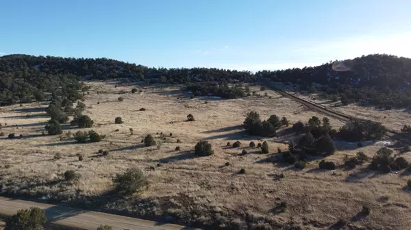 Pie Town, NM 87827,lot 89 Dan Gatlin RD