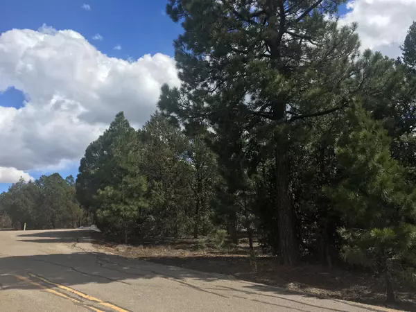 Tijeras, NM 87059,104 EDELWEISS