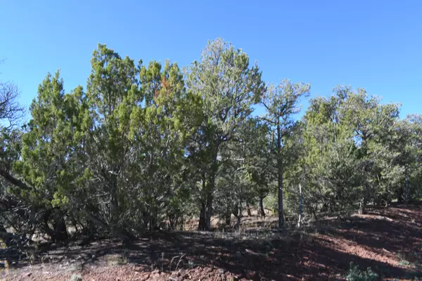 Sandia Park, NM 87047,4 Anasazi CT