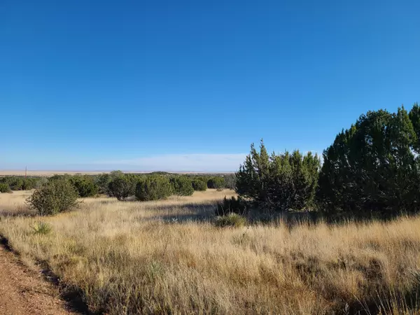 Tajique, NM 87016,0 Rosewood DR #1-A-4