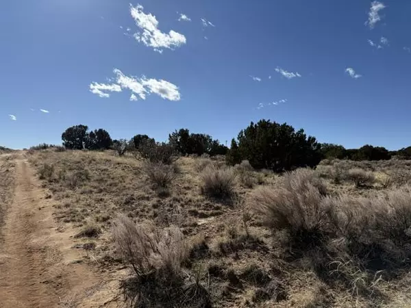 Rio Rancho, NM 87144,Elegy