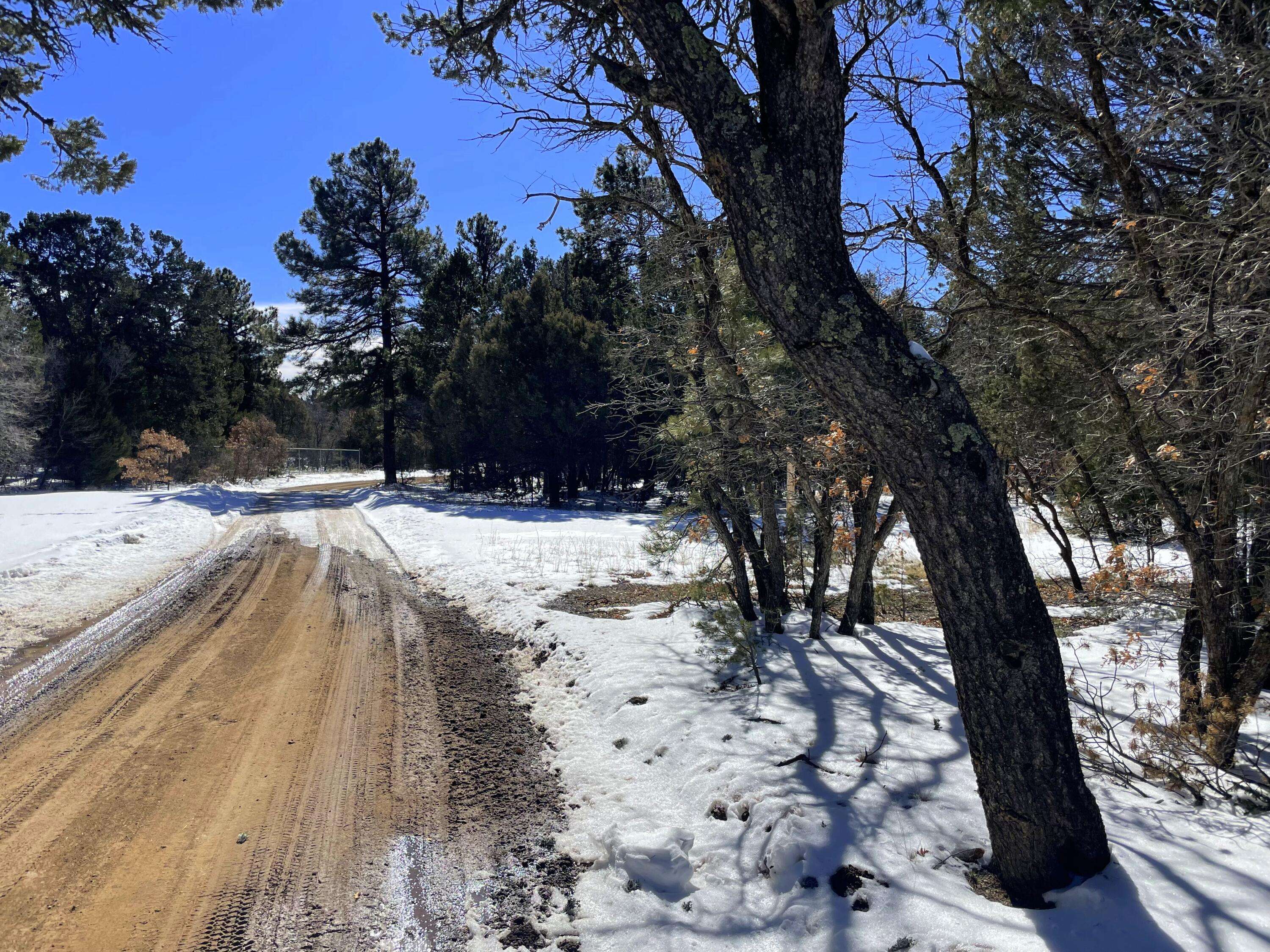 Tijeras, NM 87059,16 and 20 ORIOLE RD
