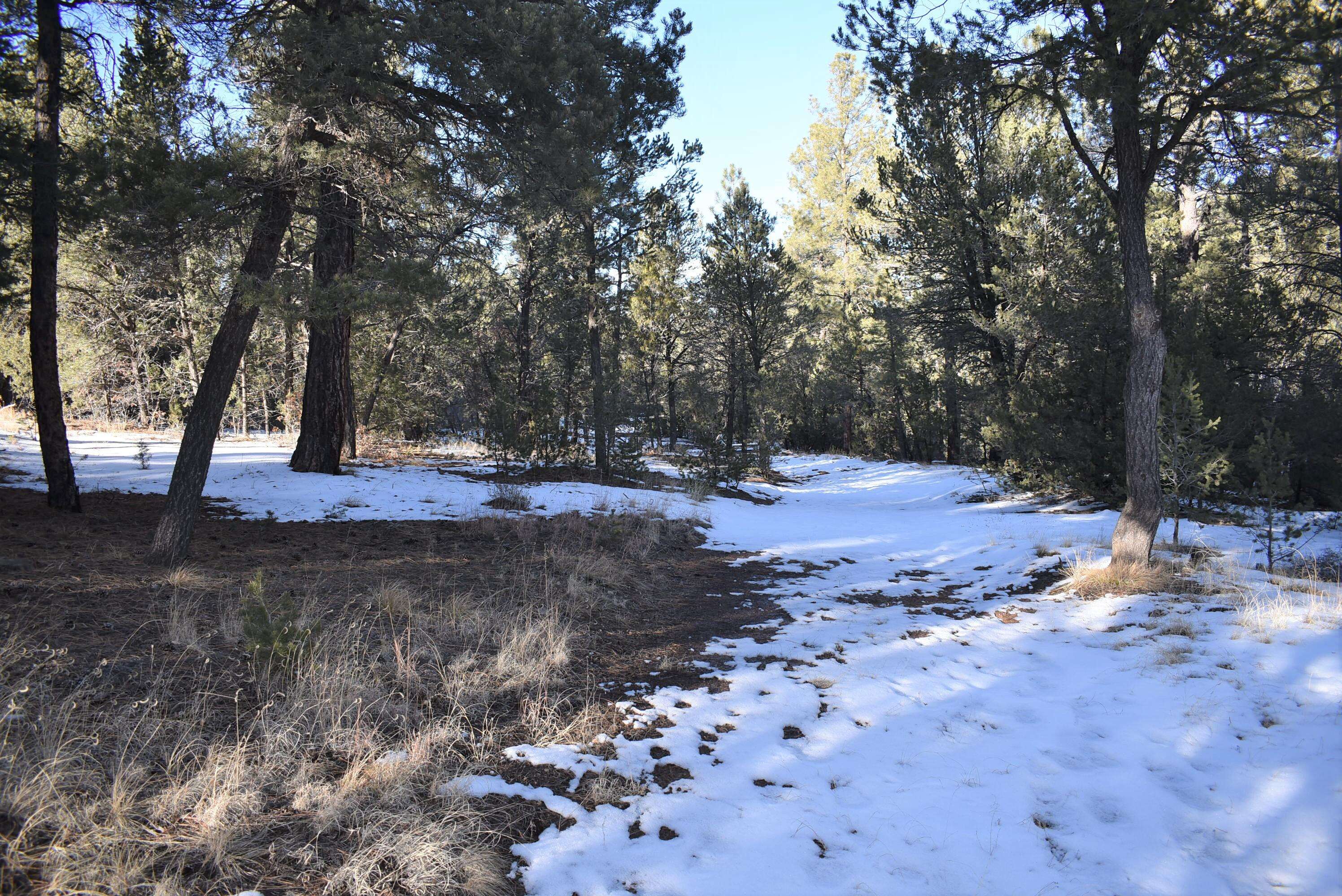 Tijeras, NM 87059,4 FISHER CT