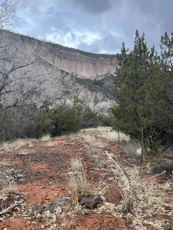 Jemez Springs, NM 87025,00 Tract C-1 highway 4