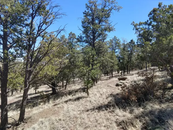 Datil, NM 87821,4 Log Cabin DR