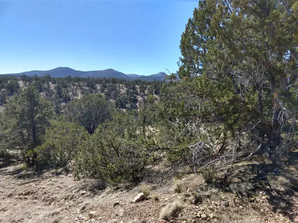 Datil, NM 87821,56 Carson DR