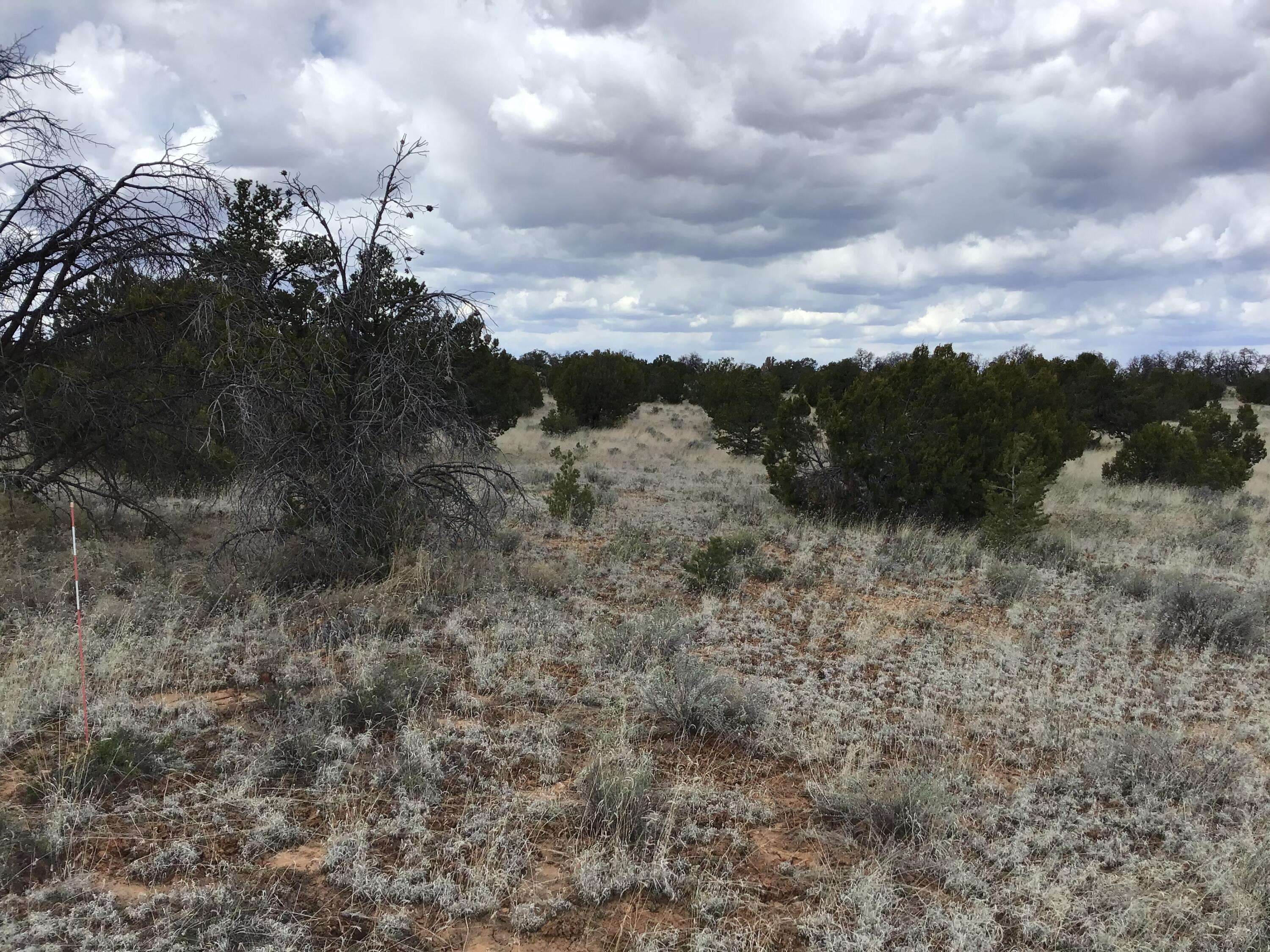 Ramah, NM 87321,Lot 38 Country Lane