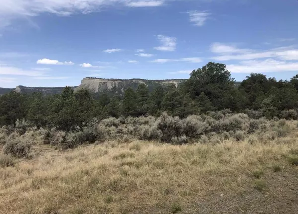 S Leaning Lot A, Tierra Amarilla, NM 87575
