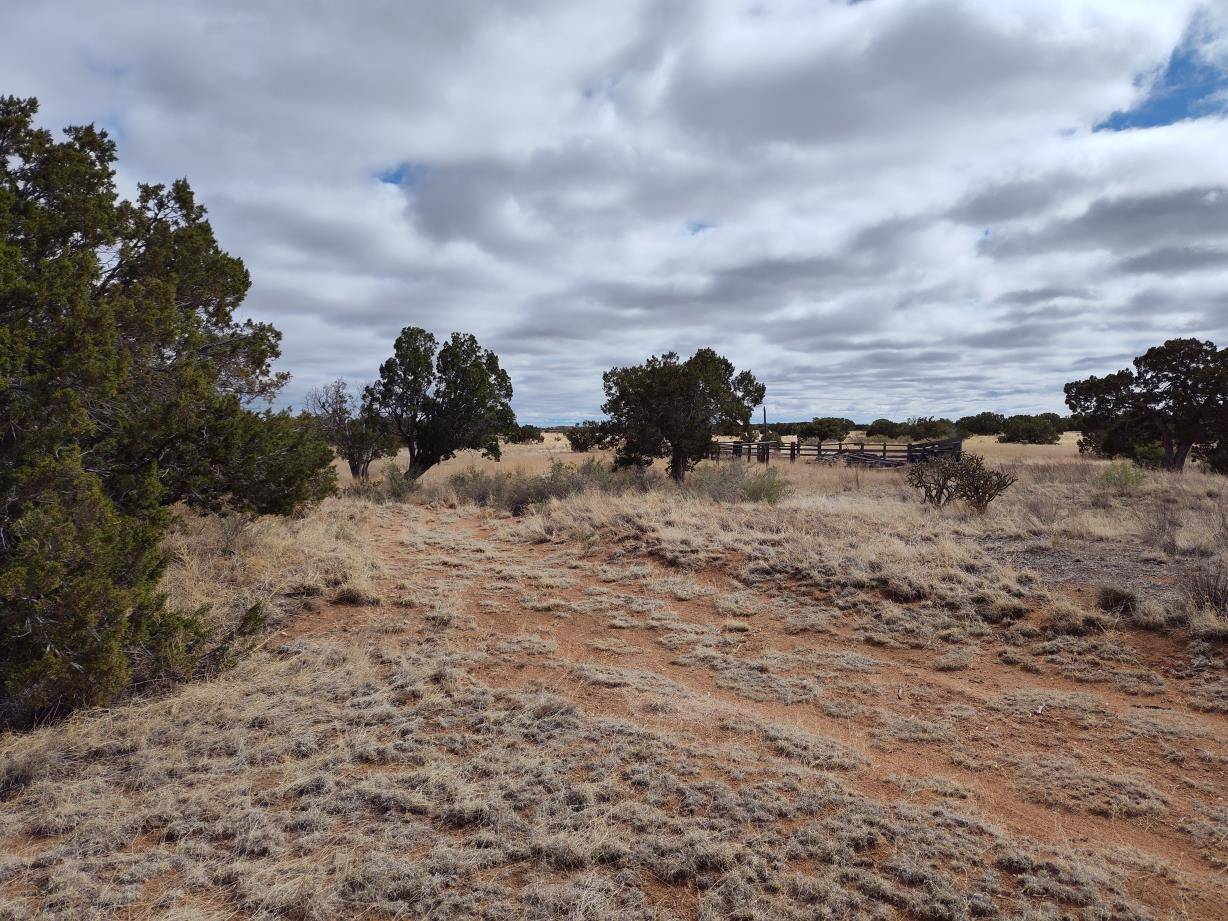 Mountainair, NM 87036,Outskirts RD