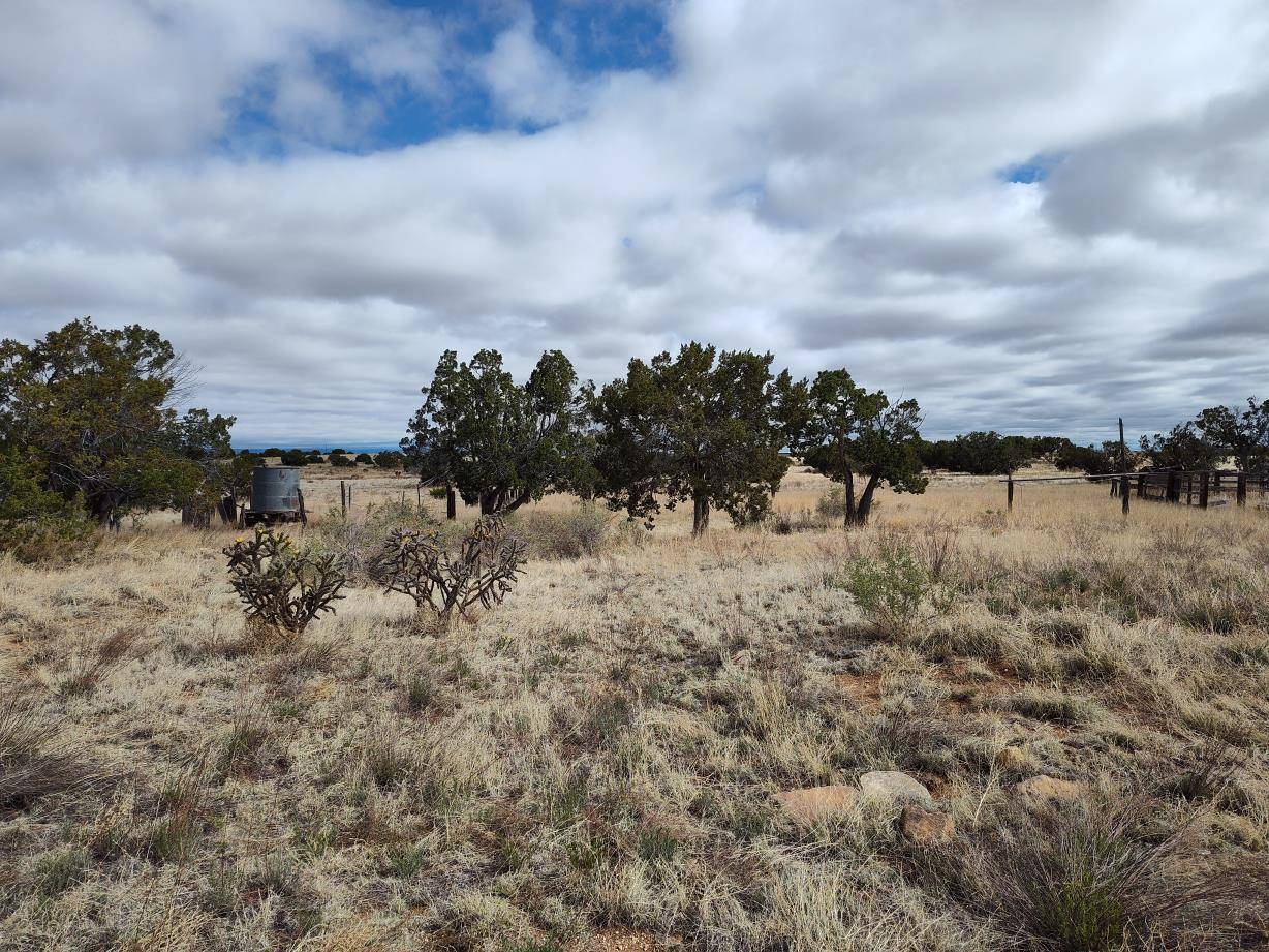 Mountainair, NM 87036,Outskirts RD