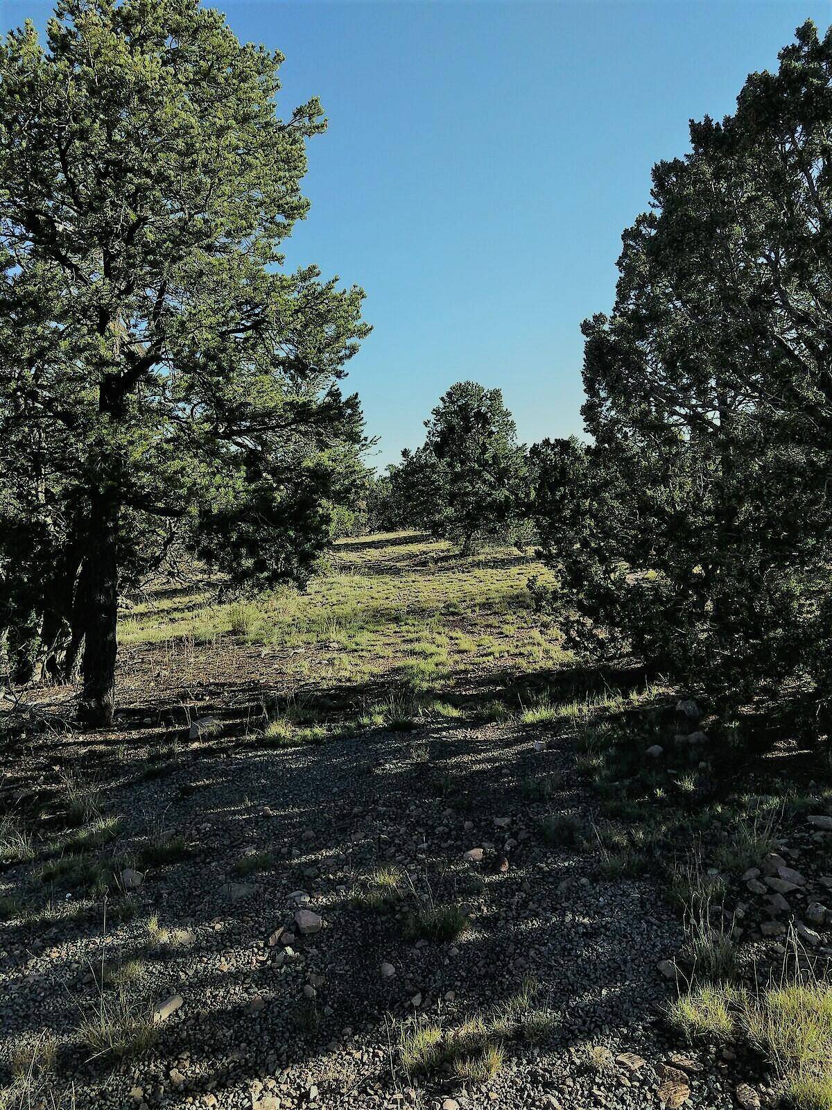 Datil, NM 87821,43 Carson DR