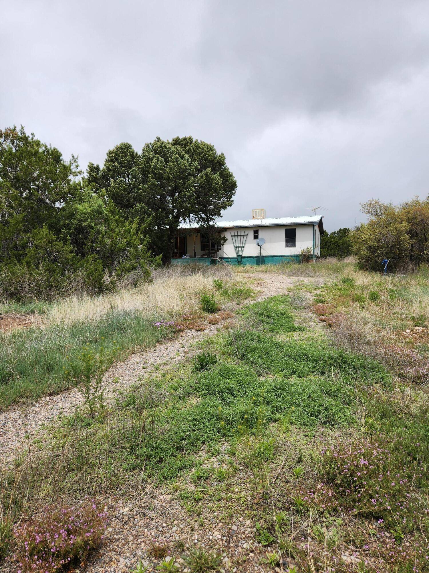 45 Holli LOOP, Edgewood, NM 87015