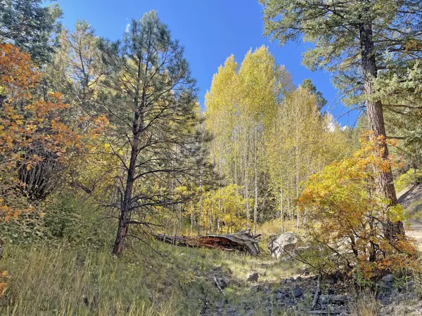 Jemez Springs, NM 87025,Tract 4 Cielo Vista