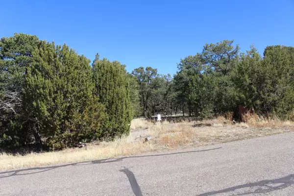 Tijeras, NM 87059,37 Nature Pointe DR