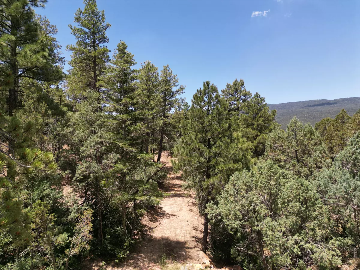 Cedar Crest, NM 87008,30 Haven DR